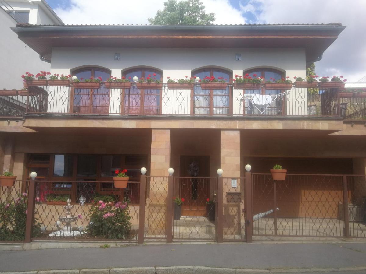 Vila Barrandov 프라하 외부 사진